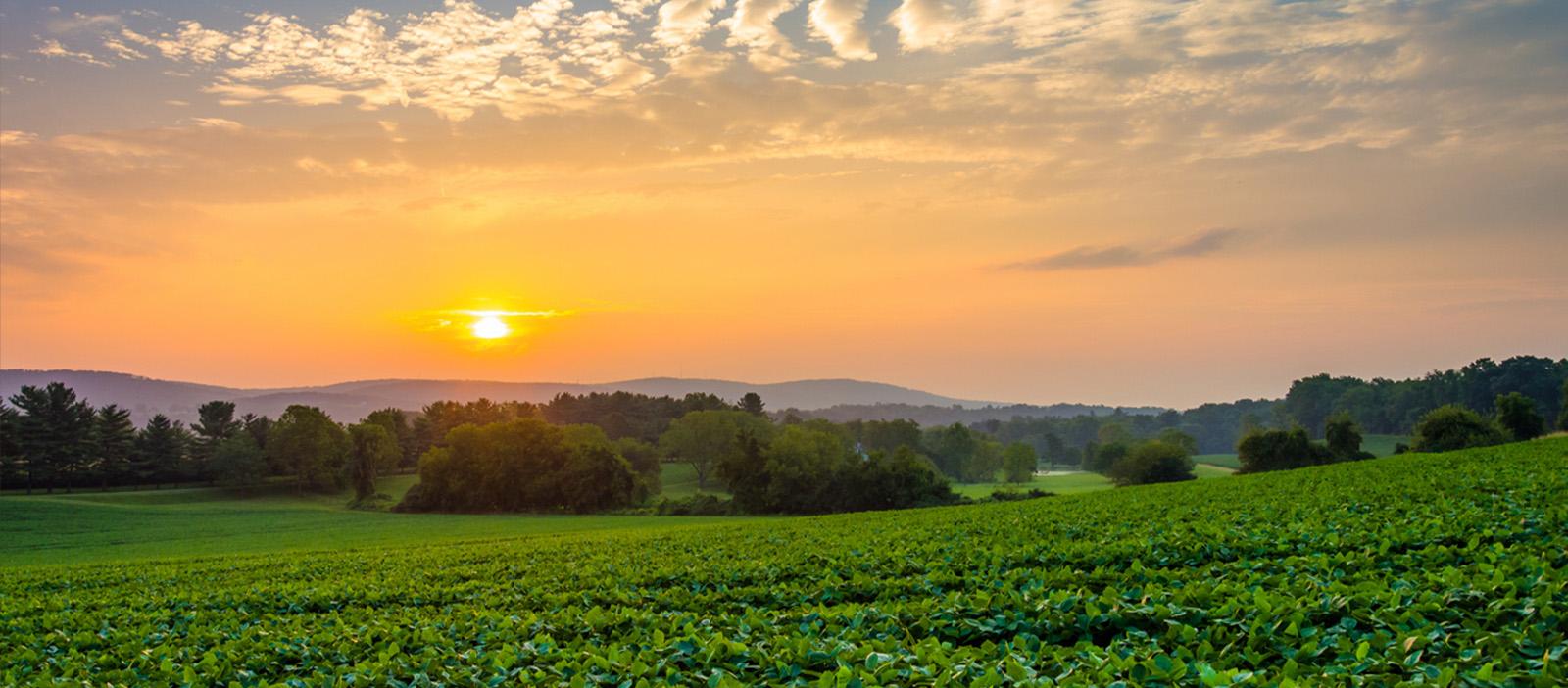 Celebrating Ag Heroes